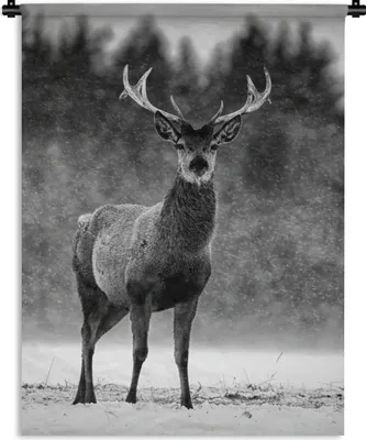 Produktbild von MuchoWow® Wandteppich Wandbehang Tiere - Hirsche - Winter - Schwarz - Weiß 90x120 cm Tapisserie Dekoration Wandtuch - Wanddeko