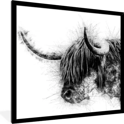 Produktbild von MuchoWow® MuchoWow® Gerahmtes Poster Porträt Schottisches Hochlandrind - Schwarz und Weiß 40x40 cm - Poster mit zchwarzem Bilderrahmen - Mit Rahmen - Wanddekoration Schlafzimmer