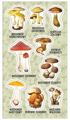 Image de Autocollants sur les champignons vénéneux