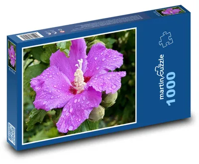 Obrázek produktu pro martinpuzzle - Puzzle 1000 - Ibišek - květ
