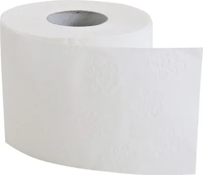 Produktbild von Franz Mensch Toilettenpapier, Kleinrolle, weiß, 2-lagig, 250 Blatt, 64 Rollen
