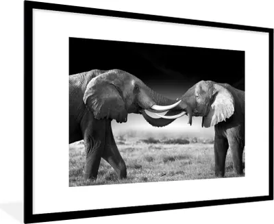 Produktbild von MuchoWow® Gerahmtes Poster Elefant - Tiere - Schwarz und weiß - Porträt - Landschaft 90x60 cm - Poster mit Schwarzem Bilderrahmen Wandposter Rahmen Foto Bilder - Wanddekoration - Fotos