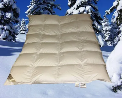 Produktbild von Betten Hofmann Premium 6cm Winter Hochsteg Kassetten Daunendecke 4x6 155x220 cm 100% Daunen