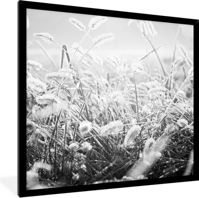 Produktbild von MuchoWow® Gerahmtes Poster Winter - Schwarz - Weiß - Eis 40x40 cm - Poster mit Schwarzem Bilderrahmen Wandposter Rahmen Foto Bilder - Mit Rahmen - Wanddekoration Schlafzimmer