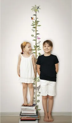Produktbild von Waschbare Kindertapete Meter TROPISCHE TIERE für die Wand 53 cm x 270 cm