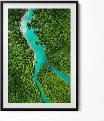 Produktbild von Vogelperspektive auf einen Fluss in einem tropischen Wald– Wandbild mit Rahmen – Gerahmtes Bild  – Wanddekoration – 70x100 cm –  Schwarz Rahmen