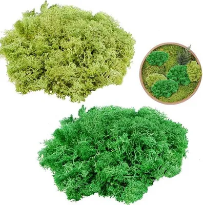 Produktbild von Grüner Kunstschlamm für Basteln, 200 g, 2 verschiedene Größen, Dekorations-Schlamm, Modellbau-Schlamm, Ostern, Weihnachtsdekoration
