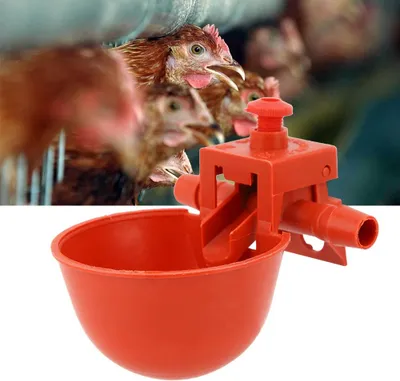 Zdjęcie produktu dla 10Pcs Poidło dla kurczaków Poidło dla drobiu Miska na wodę Kubek na wodę do picia Narzędzie do klatek Akcesoria