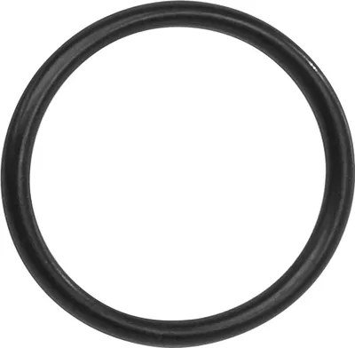 Immagine prodotto di O-ring Bosch per ghiera Active Line Plus Performance (BDU3xx)