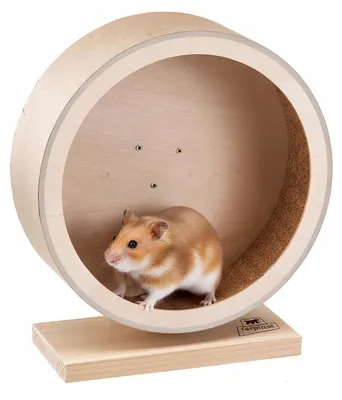 Image de Roue d'exercice en bois Ferplast, idéale pour hamsters et chinchillas. Jouet en bois pour rongeurs