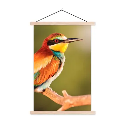 Produktbild von MuchoWow® Textilposter Vögel - Bienenfresser - Regenbogen - Tiere 60x90 cm mit holzfarbenen Rahmen - Textil