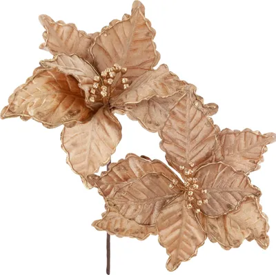 Image de Étoile de Bethléem Fleur Étoile de Noël Pour Arbre de Noël Grand Sur Plume Roseau