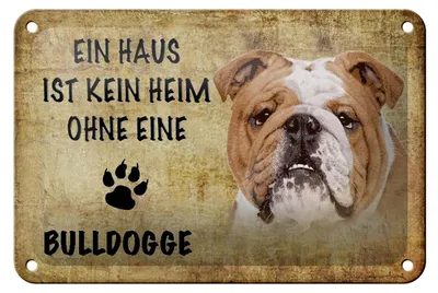 Produktbild von Blechschild Spruch 18x12cm Bulldogge Hund ohne kein Heim