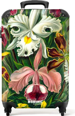 Produktbild von NoBoringSuitcases.com® Koffer Handgepäck Trolley Rollkoffer Kleine Reisekoffer mit 4 Rollen - Blumen - Kunst - Haeckel - Alte Meister - Botanisch - Cabin Size < 55x40x23 cm & 55x40x20 cm - Fotokoffer - Kabinenkoffer - BoardgepäckHandgepäck Koffer 55x35x20 cm, 36L,