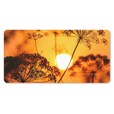 Produktbild von MuchoWow® Schreibtischunterlage Pflanzen - Blumen - Sonnenuntergang - Orange 80x40 cm - XXL Mauspad - Gaming Mauspad