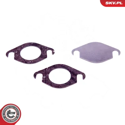 Produktbild von ESEN SKV Reparatursatz, Ansaugkrümmermodul x 14SKV518