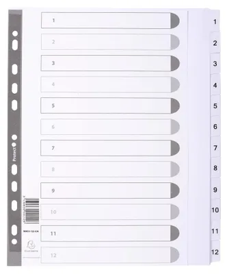 Immagine prodotto di Raccoglitore DIN A4 con 12 divisori