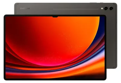 Productafbeelding van Samsung Galaxy Tab S9+ - Tablet - Android 13 - 512 GB - 31,5 cm (12,4") Dynamic AMOLED 2X display (2800 x 1752) - microSD-slot