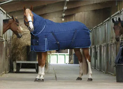 Obrázek produktu pro Stájový koberec Riding World Combo Blue 168-120 cm Blue 168-120 cm