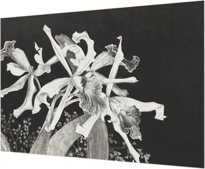Produktbild von Wandtapete - Dekorative Tapete für Wohnzimmer - Tapetenfolie für Wanddekoration - 208x146 cm - Orchideenillustration
