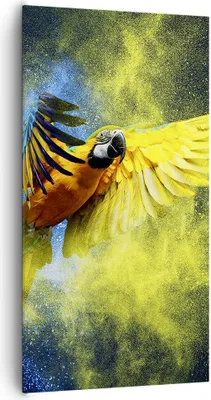 Produktbild von Bild auf Leinwand - Leinwandbild - Papagei Vogel Feder - 65x120cm - Wand Bild - Wanddeko - Leinwanddruck - Bilder - Kunstdruck - Wanddekoration - Leinwand bilder - Wandkunst - PA65x120-3666