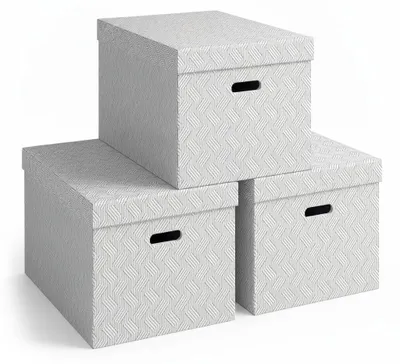 Produktbild von InAndOutdoorMatch - Aufbewahrungsboxen mit Deckel - 46 Liter, KI-generiertes Bild