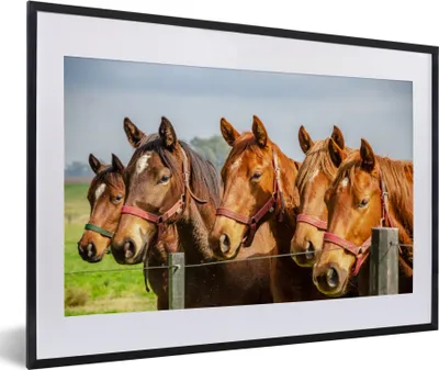 Produktbild von MuchoWow® MuchoWow® Gerahmtes Poster Pferde - Zaun - Sommer 60x40 cm - Poster mit zchwarzem Bilderrahmen - Schlafzimmer - Plakat in Rahmen - Drucken