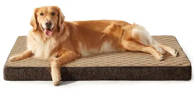 Immagine prodotto di Cuccia ortopedica per cani, taglia XXL, 120x74x10 cm, colore marrone, lavabile, antiscivolo