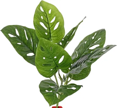 Produktbild von artplants.de Kunst Philodendron Monstera Deliciosa SOANN, Steckstab, 30cm - Kunst Monstera adansonii