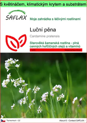 Obrázek produktu pro SAFLAX Garden to go - luční pěna - Cardamine pratensis - 100 Semena - S květináčem, klimatickou poklicí a pěstebním substrátem