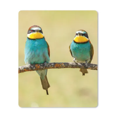 Produktbild von MuchoWow® Mauspad Mousepad Vögel - Tiere - Bienenfresser 30x40 cm - Mousepads - Maus Mat - Pad - Mausunterlage - Mausmatten