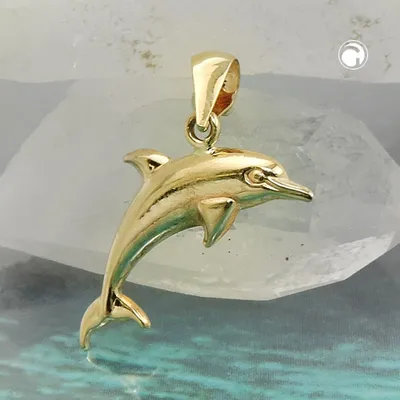 Produktbild von Anhänger, Delfin glänzend, 9Kt GOLD