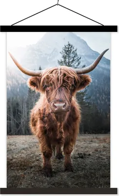 Produktbild von MuchoWow® Textilposter Schottische Hochlandrind - Natur - Berge 120x180 cm mit schwarzem Rahmen - Fotos