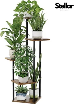 Image de Armoire à plantes en bois de haute qualité à 5 étagères