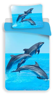Produktbild von Jerry Fabrics Jerry Fabrics Dolphin Bettwäsche 140×200cm, 70x90 cm Mikrofaser