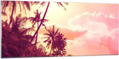 Produktbild von Bilder auf glas - palme dschungel - 120x50cm - Glasbilder - Wandbilder - Kunstdruck - zum Aufhängen bereit - Wanddekoration aus Glas - Glas Bilder - Wandbild auf Glas - Einteilig - GAB120x50-3994