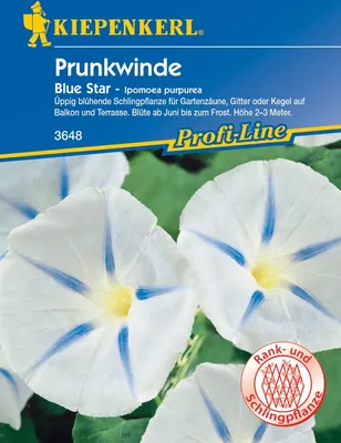 Produktbild von [STREICHUNG 2025] Ipomea Blue Star | Blumensamen von Kiepenkerl