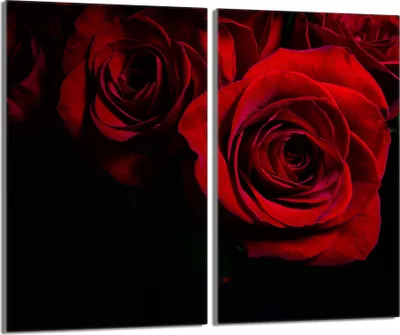 Produktbild von Glasschutzplatte für den Herd 2x30x52 Rose