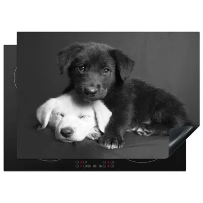 Produktbild von KitchenYeah© Herdabdeckplatte Hunde - Welpe - Schwarz - Weiß - Tiere , 75x52cm, Küche Deko, Glaskeramikkochfeld Herdabdeckung, Abdeckplatte fùr Kochfeld