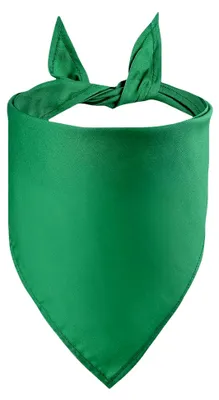 Produktbild von Hundehalstuch, einfarbig, Größe L, Grün