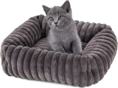 Produktbild von Katzenbett Mary · Breitcord Optik · anthrazit · S · ca. 51 x 46 x 15 cm