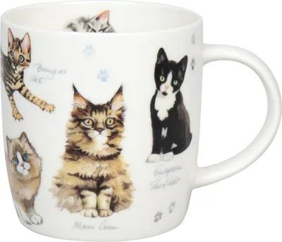 Immagine prodotto di Könitz Becher Natures Diversity - Katzen, Tasse, Kaffeetassen, New Bone, Bunt, 400 ml, 1172752866