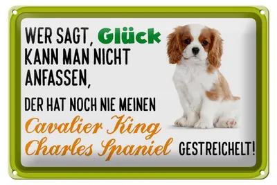 Produktbild von Blechschild Spruch 30x20cm Cavalier King Charles Spaniel