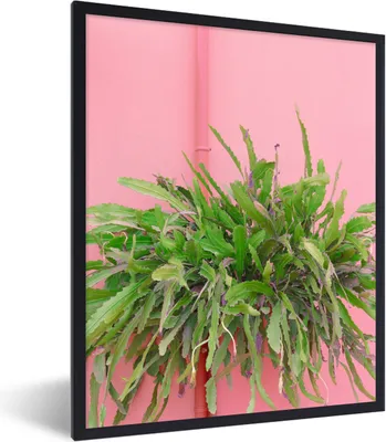 Produktbild von MuchoWow® Gerahmtes Poster Pflanze - Sommer - Rosa 30x40 cm - Poster mit Schwarzem Bilderrahmen Wandposter Rahmen Foto Bilder - Wanddeko - Kunstdrucke