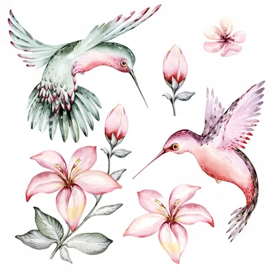 Zdjęcie produktu dla Naklejki na ścianę Pastelowe Kolibry 75x150cm