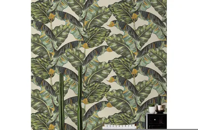 Produktbild von Coloray Fototapete 250x104 cm Vlies-Fototapete - Palm verlässt Bananenblatt