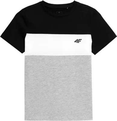Produktbild von 4F Tshirts JTSM007, HJL22JTSM007GBOKACZER, Größe: 122
