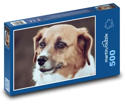 Obrázek produktu pro martinpuzzle - Puzzle 500 - Pes