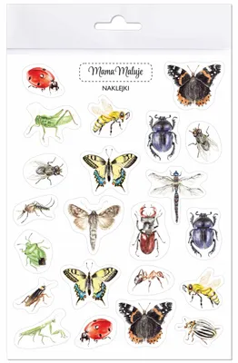 Image de Stickers Insectes