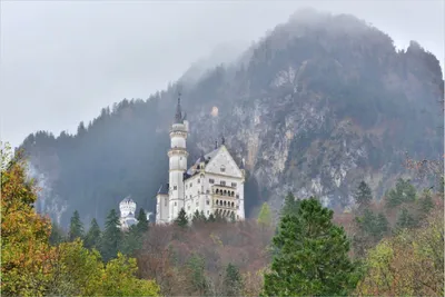 Produktbild von Wallario Poster - Schloss Neuschwanstein in Bayern, Kunstdruck Größe: 100 x 150 cm
